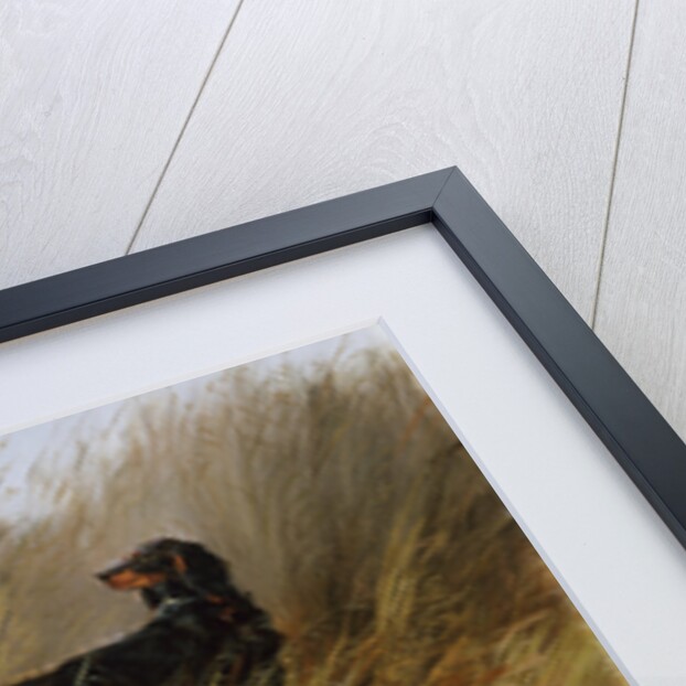 Duck Rising by Eugene Petit