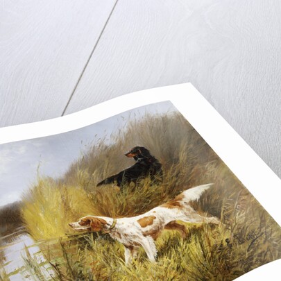 Duck Rising by Eugene Petit