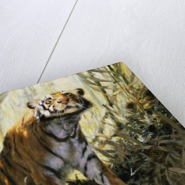 A Tiger with a Peacock by Wilhelm Kuhnert