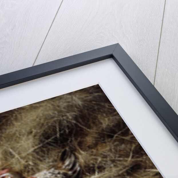 A Family of Chickens by Eugene Remy Maes