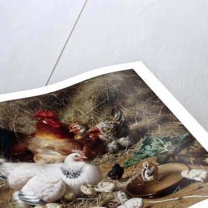 A Family of Chickens by Eugene Remy Maes