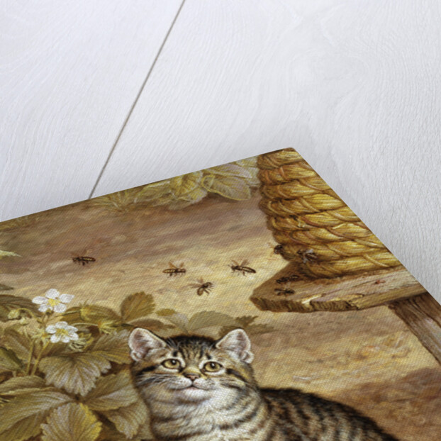 A Curious Kitten by Frank Paton