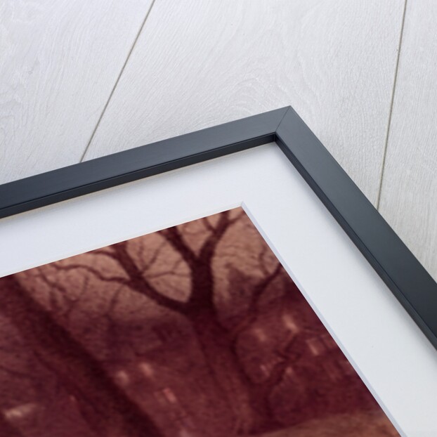 The Haunted Park by Richard Doyle