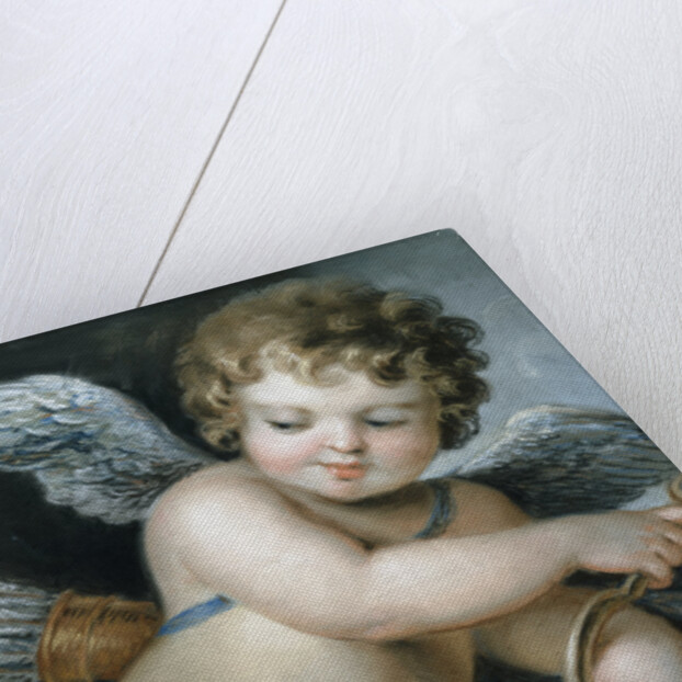 Cupid by William Hoare