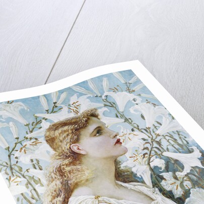 Lilies by Walter Crane