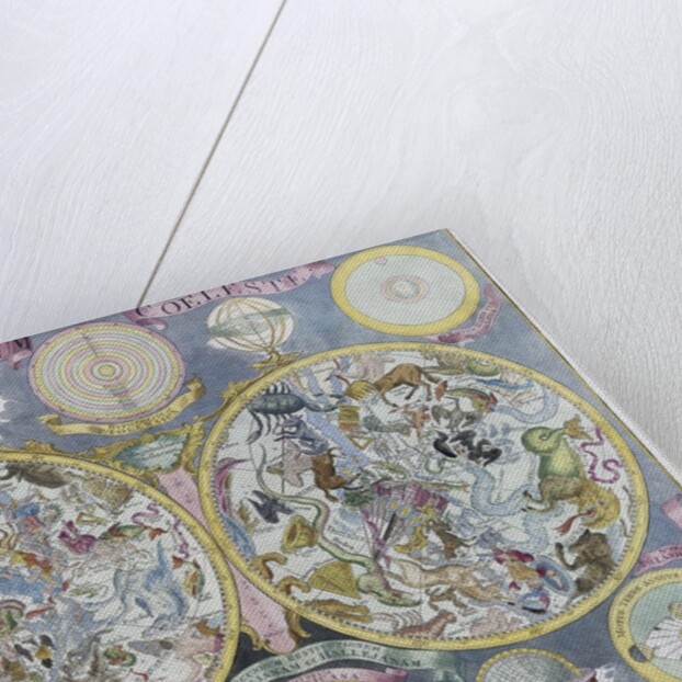 Planisphaerium Coeleste by Tobias Conrad Lotter