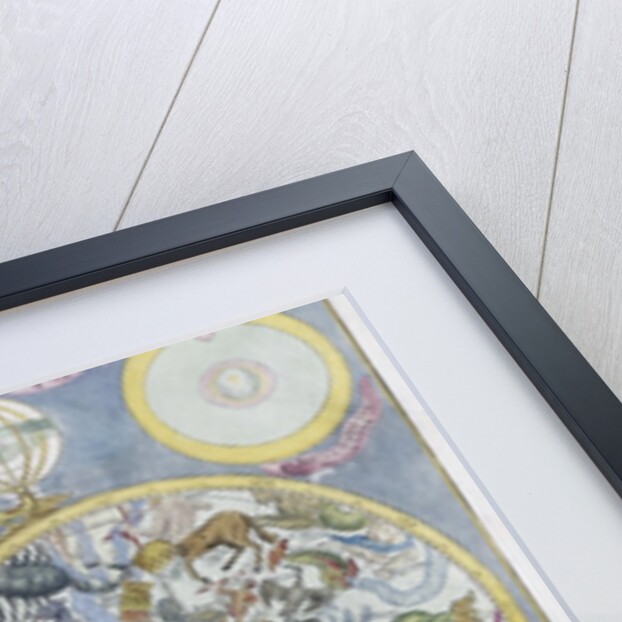 Planisphaerium Coeleste by Tobias Conrad Lotter