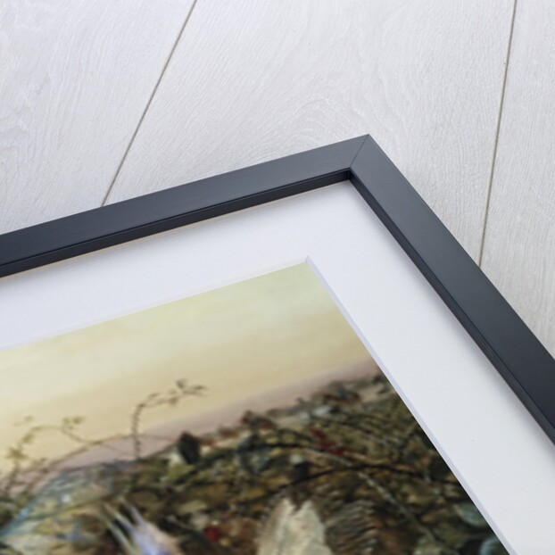 A Rabbit Among the Fairies by John Anster Fitzgerald