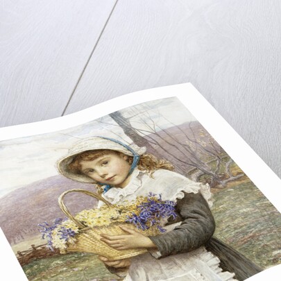 Spring Flowers by Edwin Bale