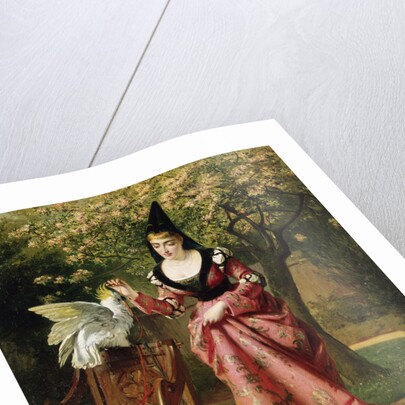 My Lady's Parrot by E.C. Barnes