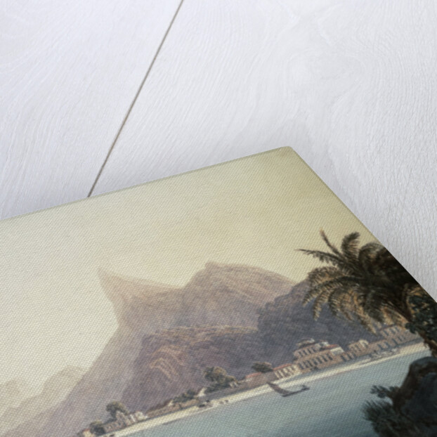The Bay of Bota-Fogo, Rio de Janeiro by Thomas Ender