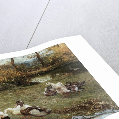 Feeding the Ducks by Edward Killingworth Johnson