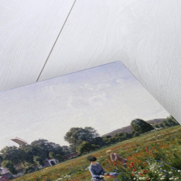 Gathering Wild Flowers by Johannes Boesen