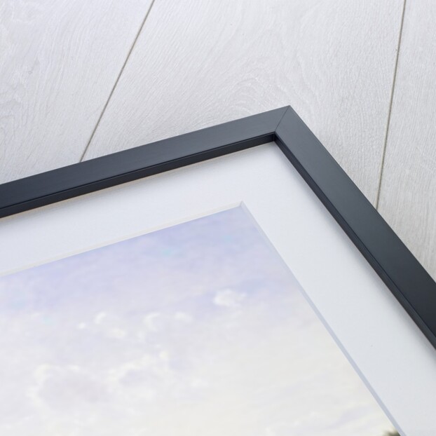 Gathering Wild Flowers by Johannes Boesen