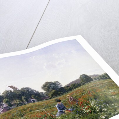 Gathering Wild Flowers by Johannes Boesen