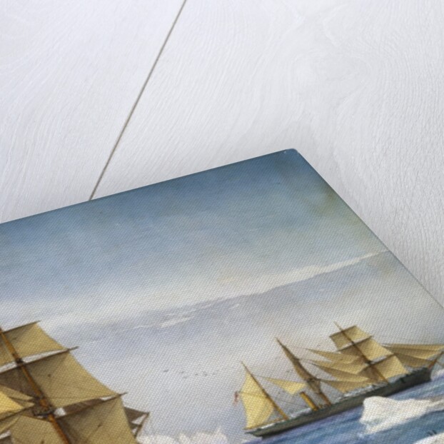 H.M.S. Alert and Discovery on the Arctic Expedition of 1865-1866 by William Frederick Mitchell