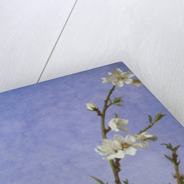 Blossom by Sophie Anderson