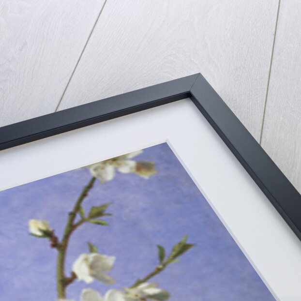 Blossom by Sophie Anderson