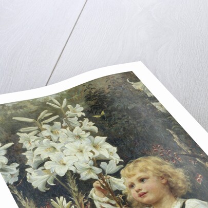 Lilies by Frederick Morgan