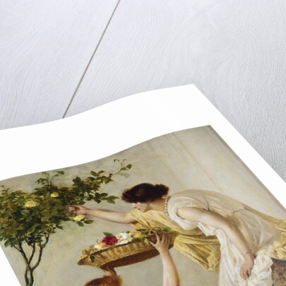 The Time of Roses by Henry Thomas Schaefer