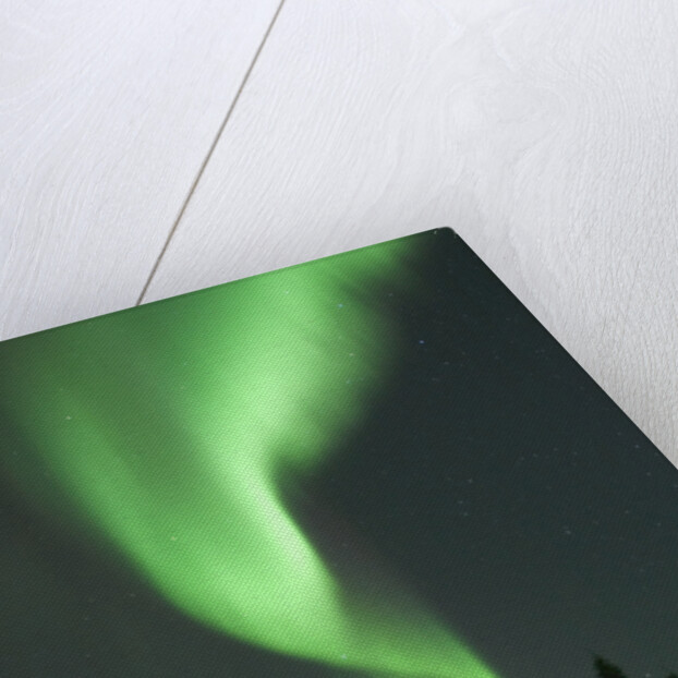 Aurora Borealis in Canada's Wapusk National Park by Anonymous