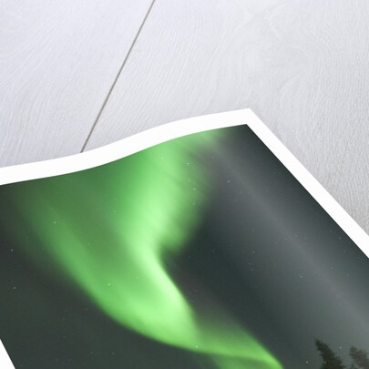 Aurora Borealis in Canada's Wapusk National Park by Anonymous