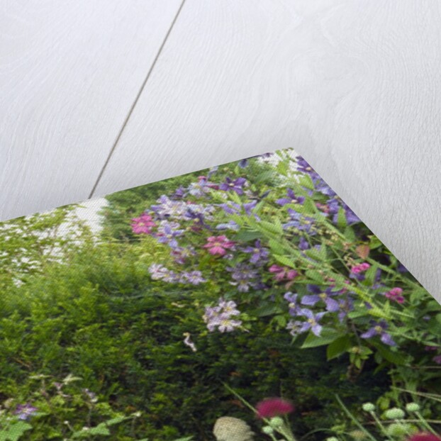 Small Statue in a Back Garden by Anonymous