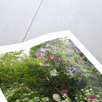 Small Statue in a Back Garden by Anonymous