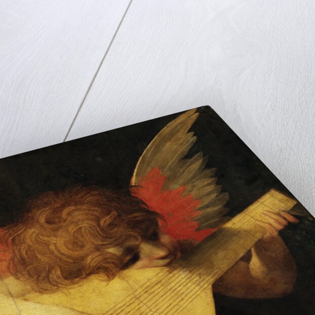 Musical Angel by Rosso Fiorentino