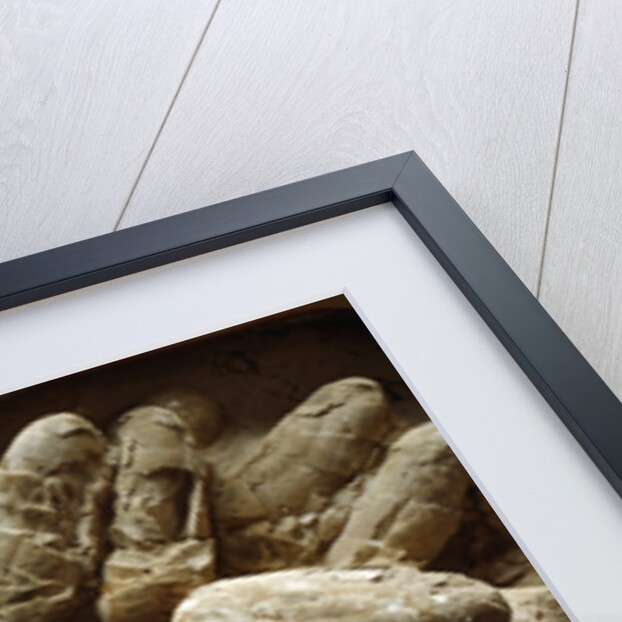 Clutch of Dinosaur Eggs by Anonymous