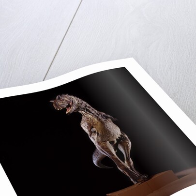 Sculpture of Carnotaurus by Anonymous