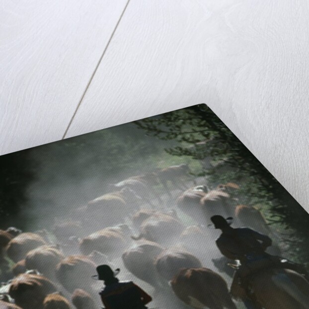 Driving Cattle at Bar Cross Ranch by Anonymous