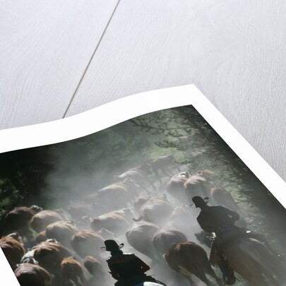 Driving Cattle at Bar Cross Ranch by Anonymous
