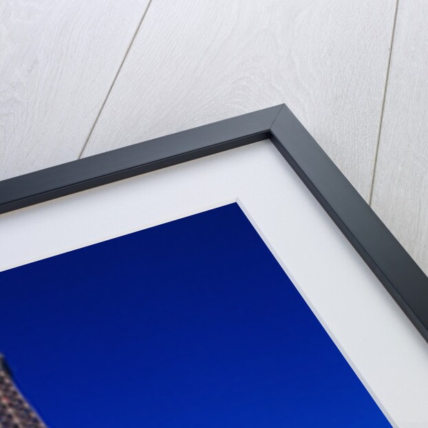 Eiffel Tower in Paris by Anonymous