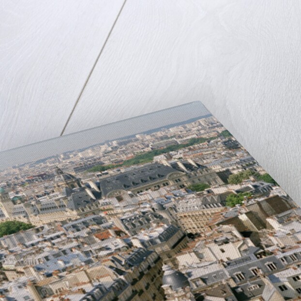 Paris as Seen from Notre Dame by Anonymous