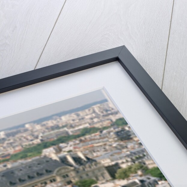 Paris as Seen from Notre Dame by Anonymous