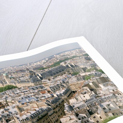 Paris as Seen from Notre Dame by Anonymous