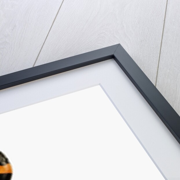 Pueblan Milk Snake by Anonymous