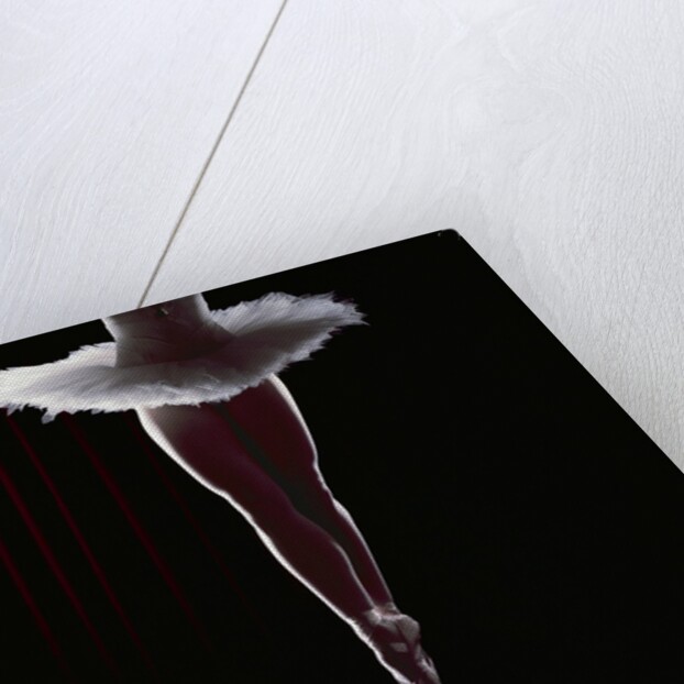 Ballerina Balancing on a Bubble by Anonymous