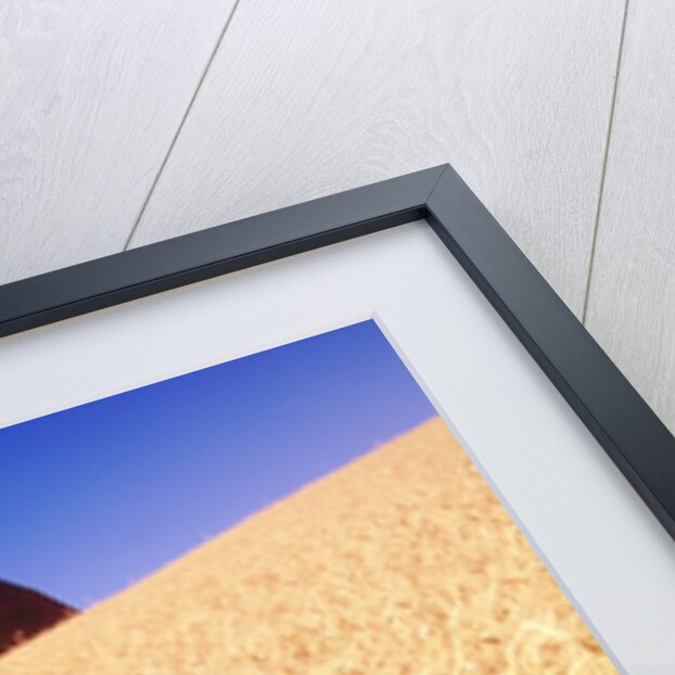 Wheat Field by Anonymous