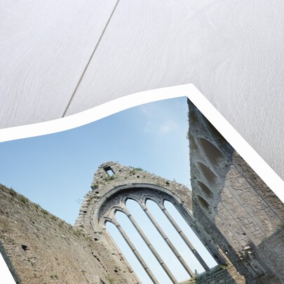 Ruins of the Dominican Abbey of Kilmallock by Anonymous
