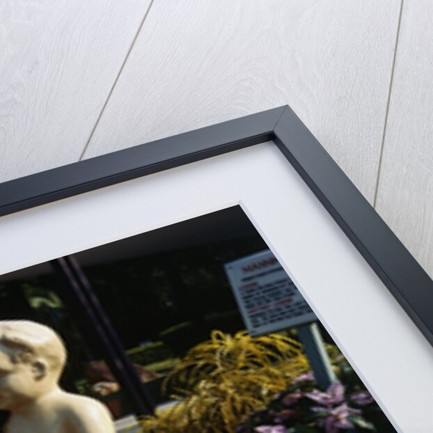 Urinating Boy Fountain by Anonymous