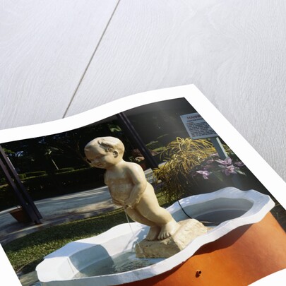 Urinating Boy Fountain by Anonymous