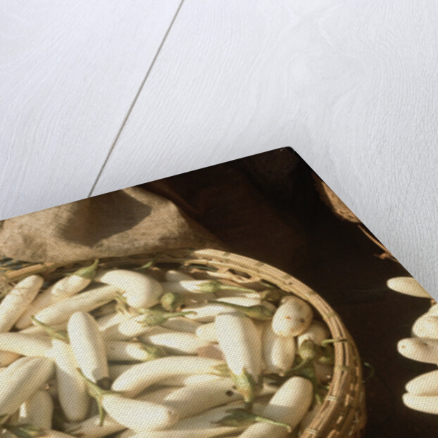 Basket of White Eggplants at the Market by Anonymous
