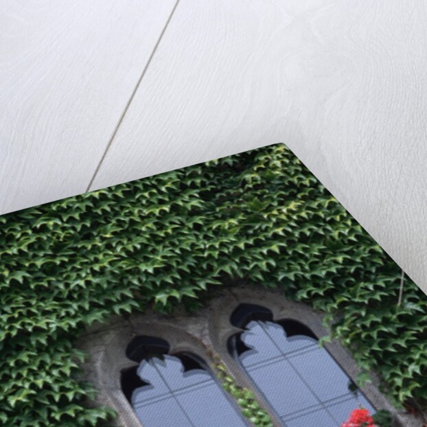 Window of Regensburg Town Hall by Anonymous