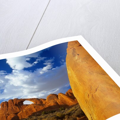 Rock Formations in Arches National Park by Anonymous