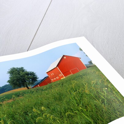 Red Barn in Green Field by Anonymous
