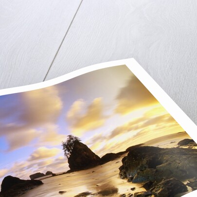 Sea Stacks Off Second Beach by Anonymous