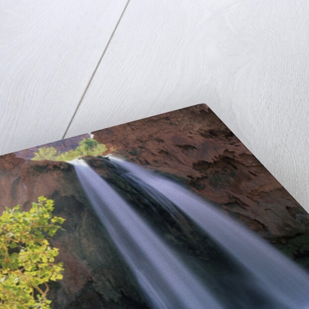 Havasu Falls by Anonymous