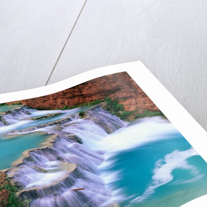 Supai Creek by Anonymous